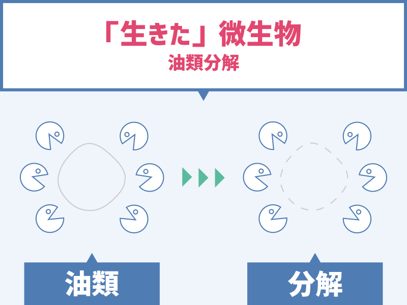 「生きた」微生物 油類分解